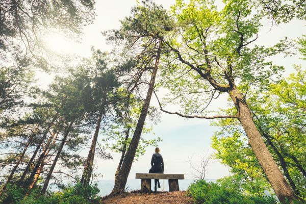 the Power of Mindfulness for a Balanced and Fulfilling Life